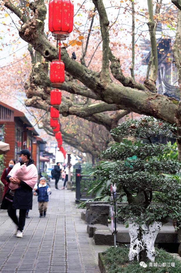 超安逸！水灵妹带你打卡都江堰6条烟火气十足的老街，告别喧嚣和浮躁，邂逅静美冬日~