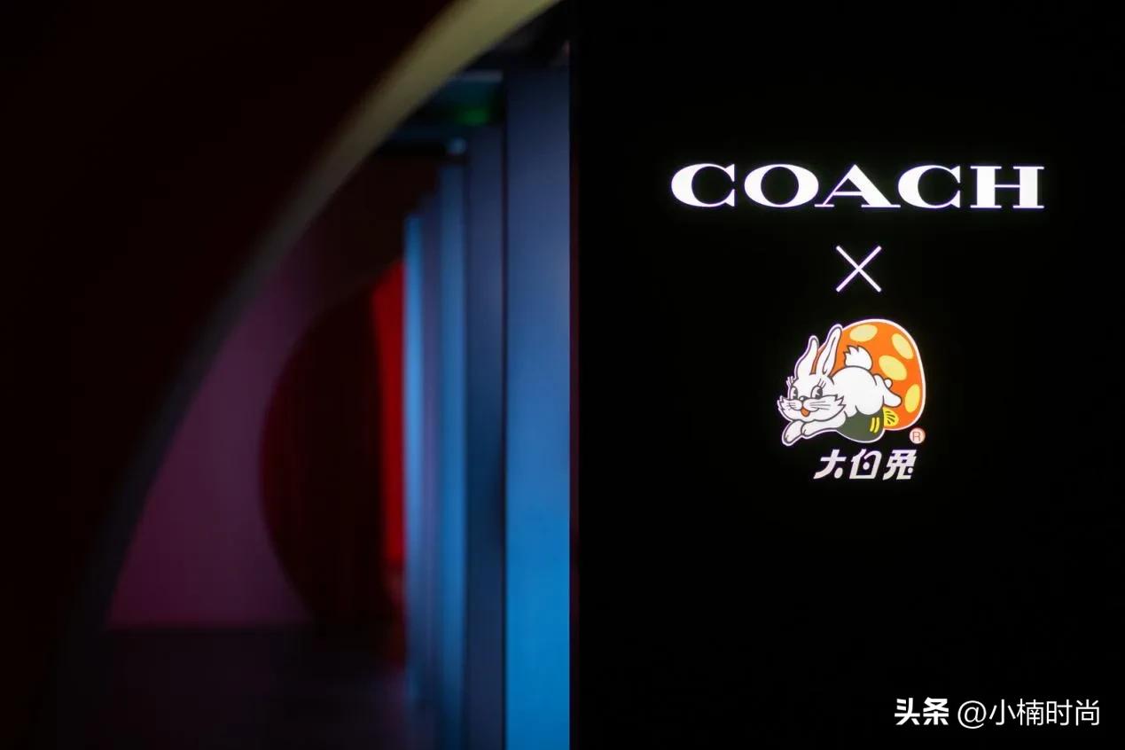 蔻驰大白兔联名服装,coach蔻驰七夕限定大白兔