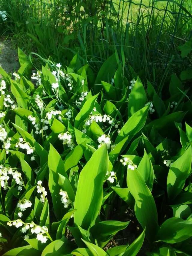 宜君记散文,宜君编年史