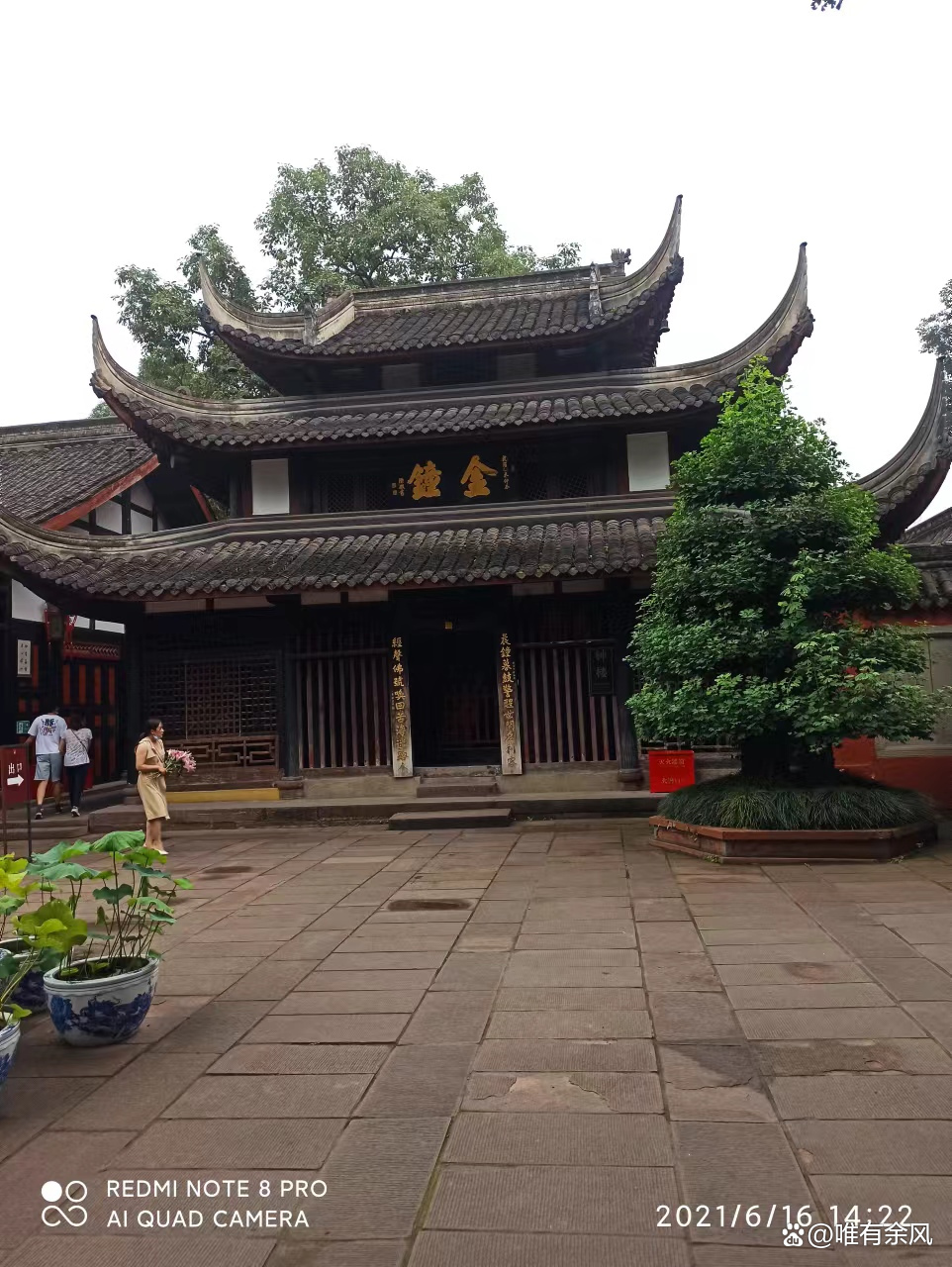 成都免费耍雪36个景点,成都周边看花景点推荐免费