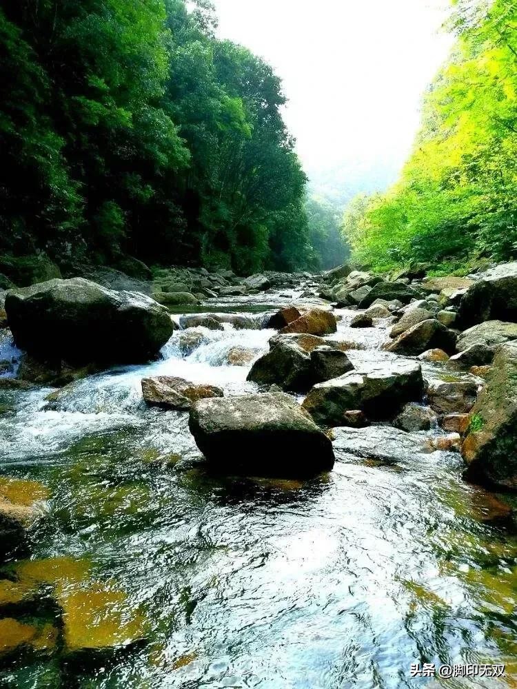 《梦是怎样飞扬的》第十八章夜雨晨霜(11)