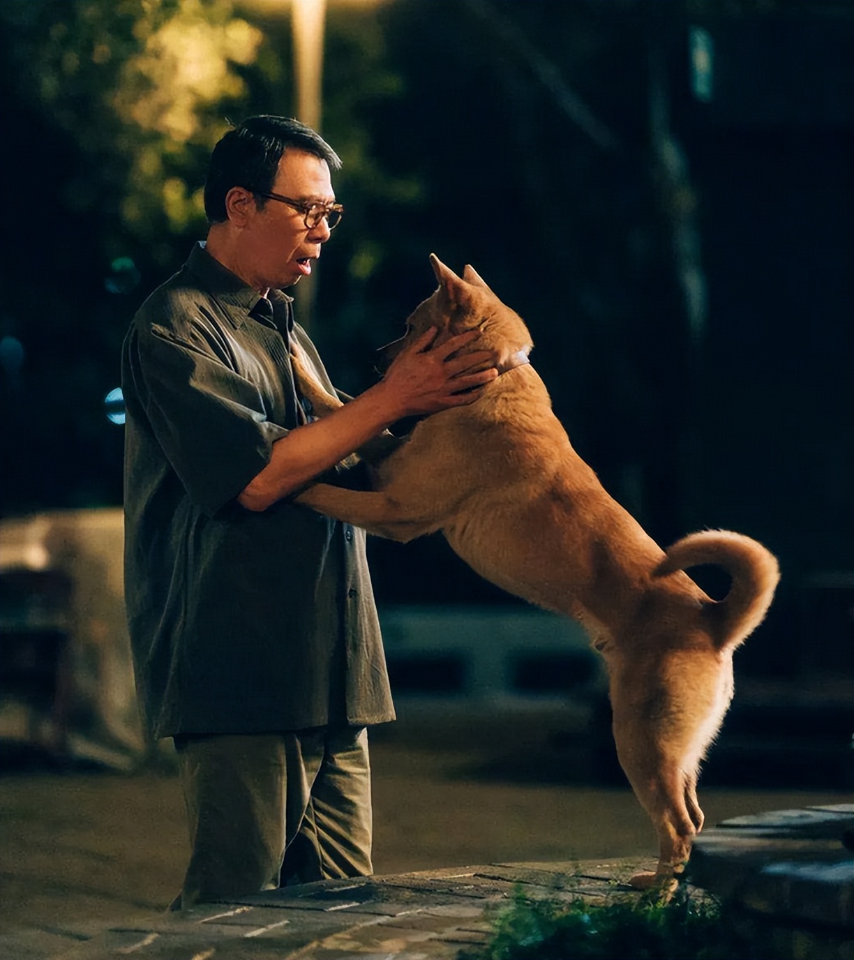 泪目瞬间的感人电影忠犬八公解说,忠犬八公看哭了