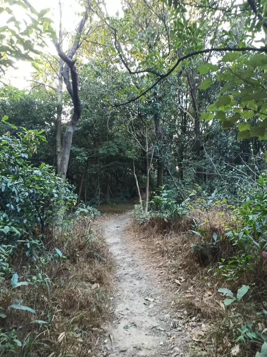 白云山适合徒步吗,一路徒步上白云山