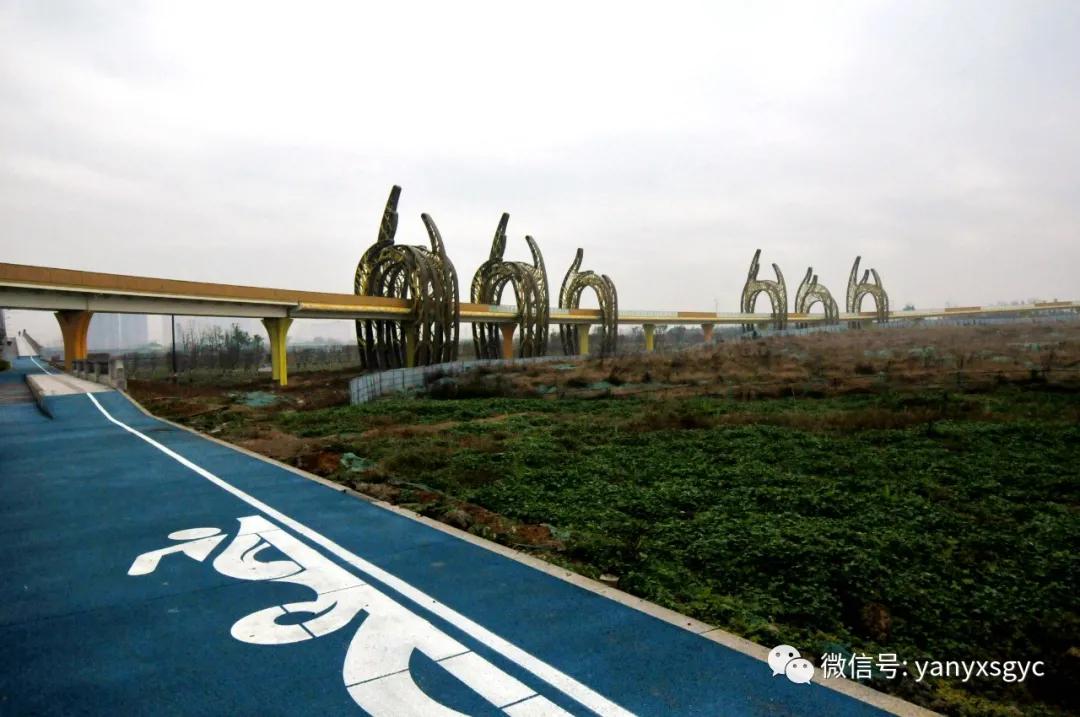 成安渝银杏大桥,成都银杏桥