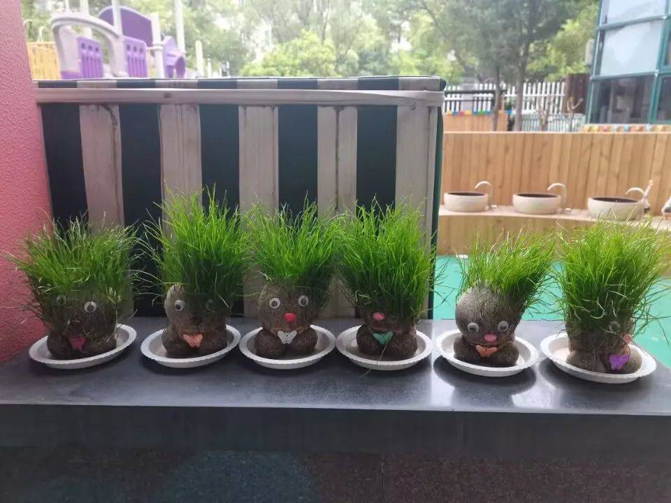 你好，草娃娃！——庆安乐儿堡幼儿园小二班课程故事