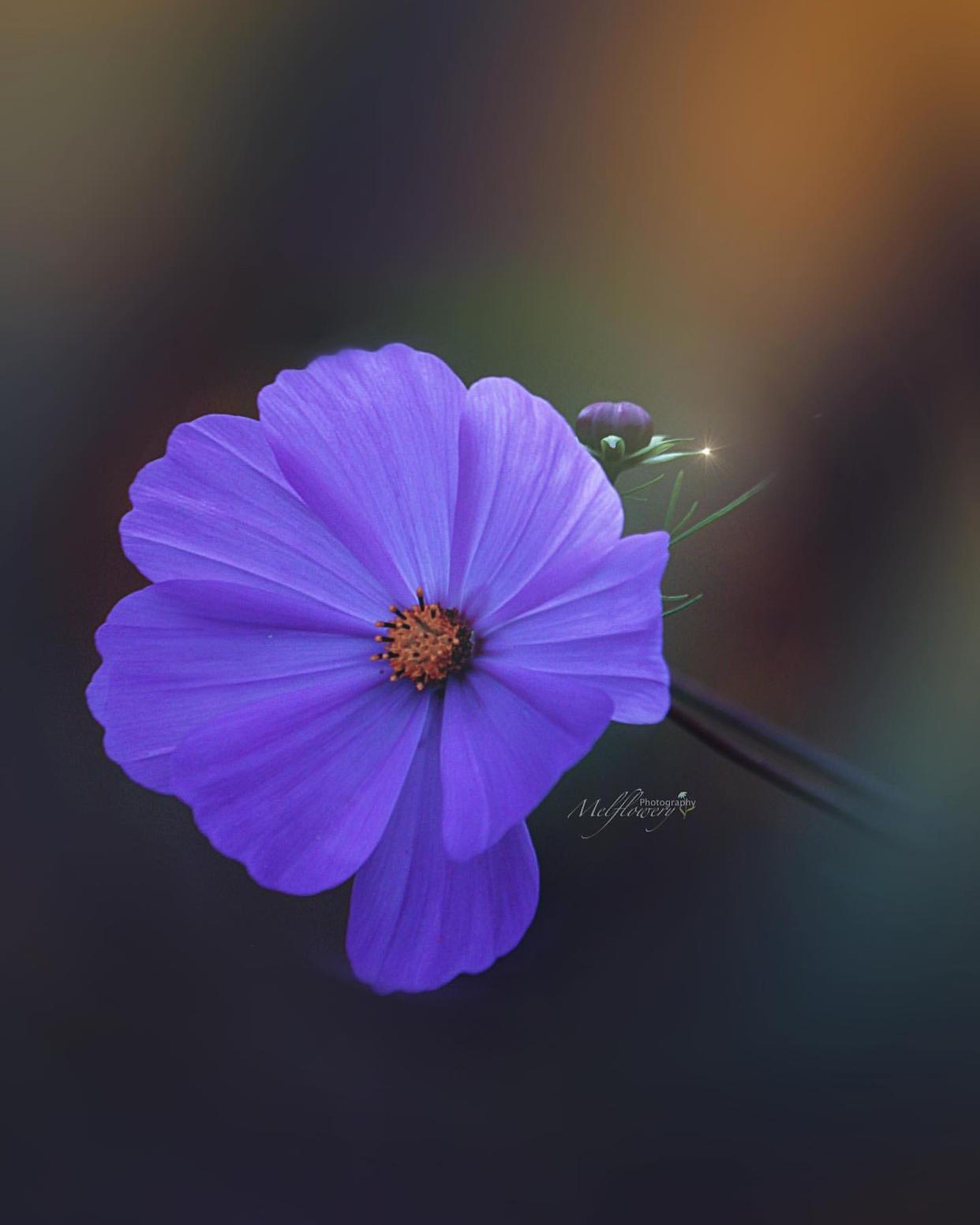 成熟说说男生超拽霸气句子,男生霸气说说经典语录