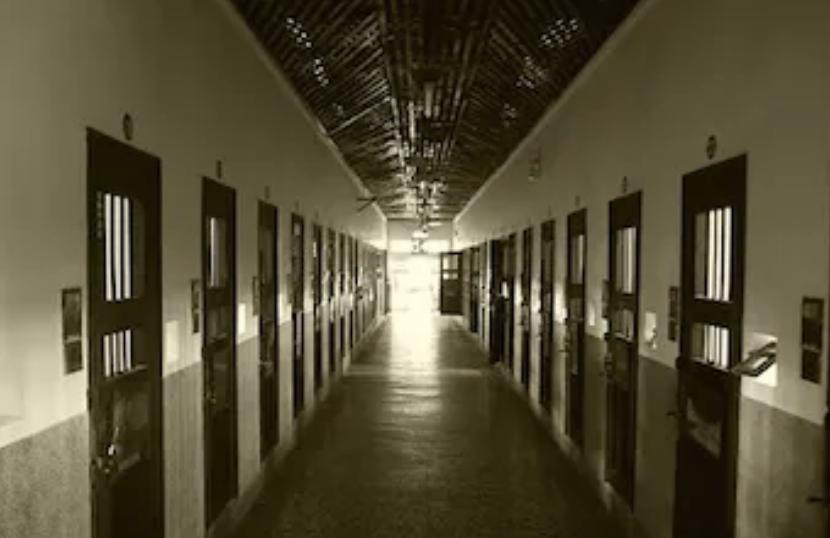 关于主持人璩美凤事件,台湾璩美凤和鲁豫