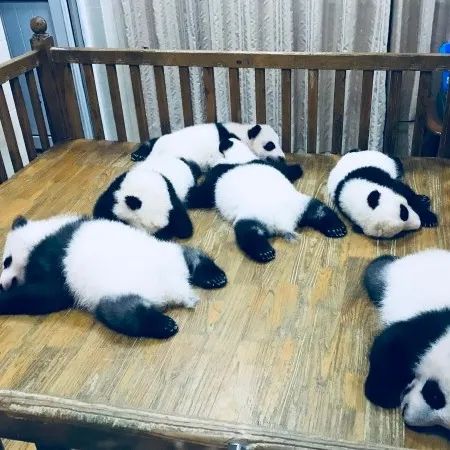 成都去北海自驾旅游攻略及花费,成都重庆九寨沟旅游攻略自由行