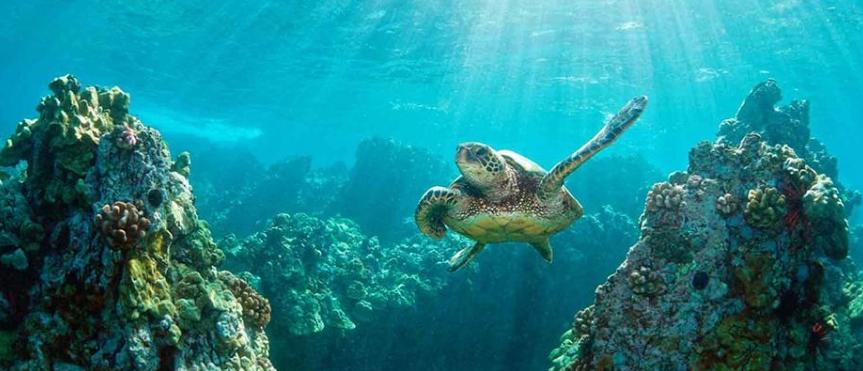 惠东双月湾卓越御山海现状,双月湾卓越御山海别墅预订