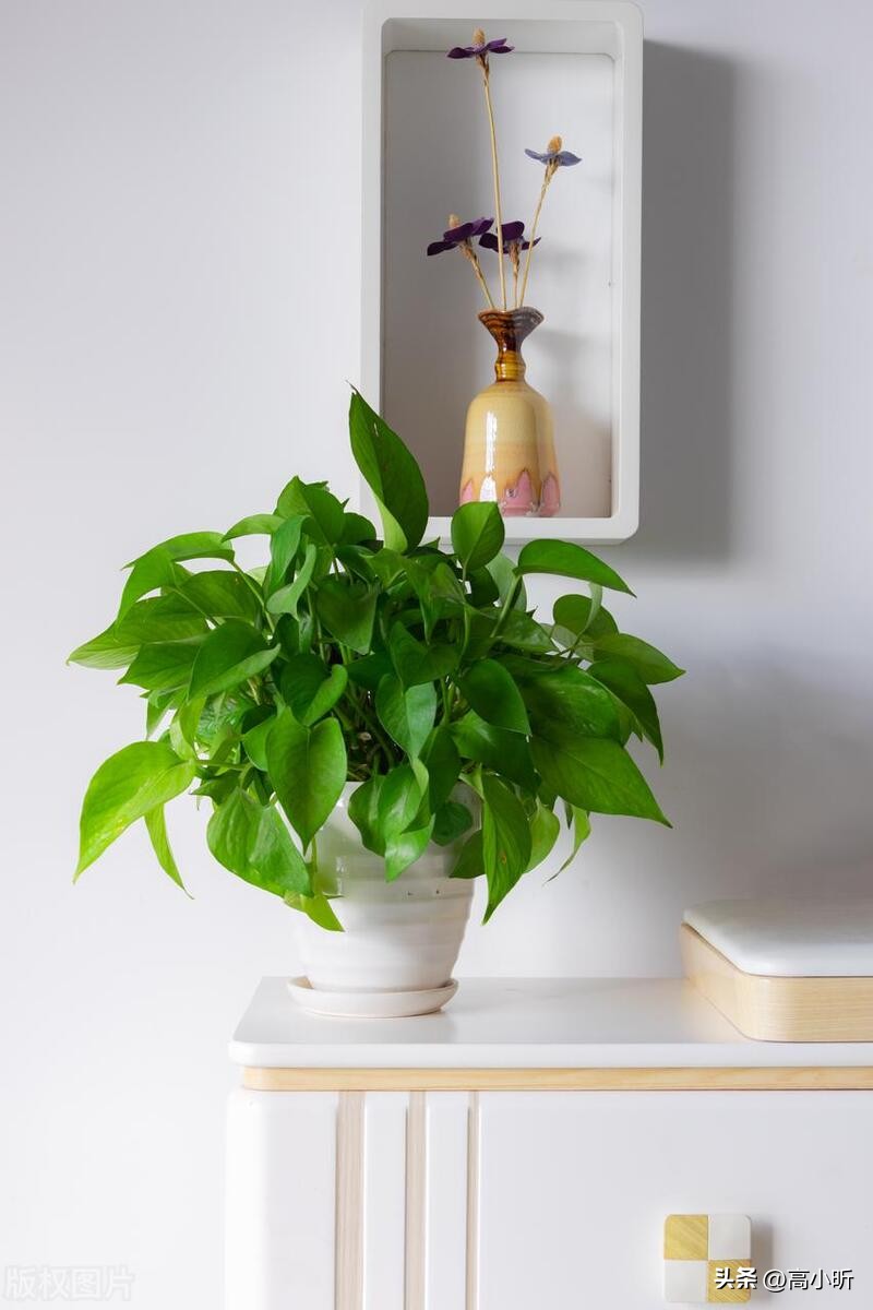 家中三象是什么,家中哪三象最重要