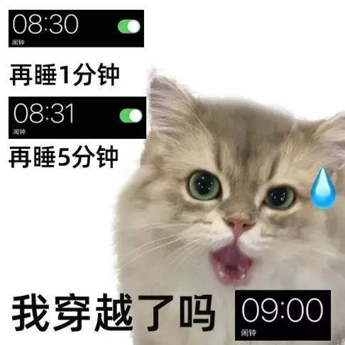 被表情包笑到文案,笑的表情包模板文案搞笑