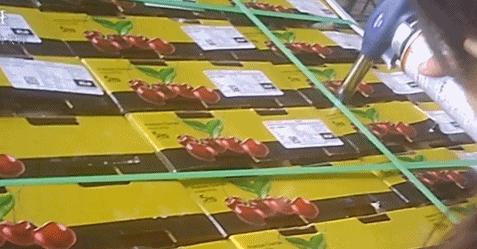 你以为花了几大百买的是进口3J车厘子？其实只是……成本低至3毛！