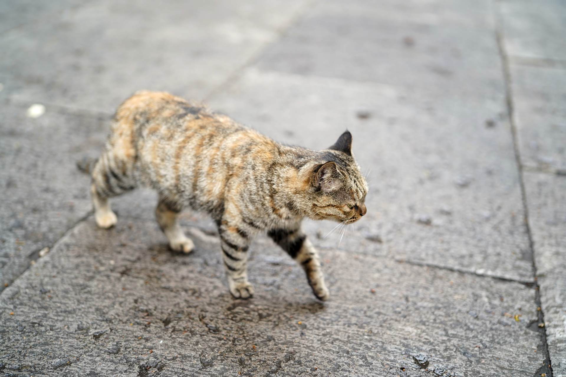 值得入手的10款产品推荐,2022年中国值得期待的几款装备