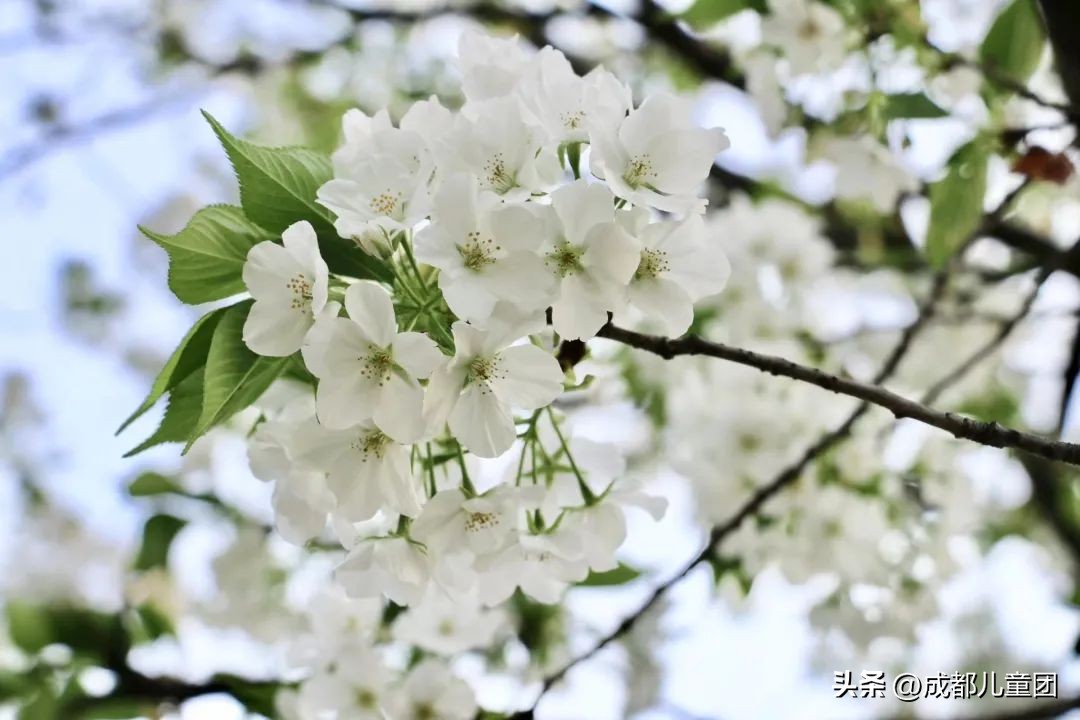 地铁3号线能到的美景地方,一号线地铁直达的风景