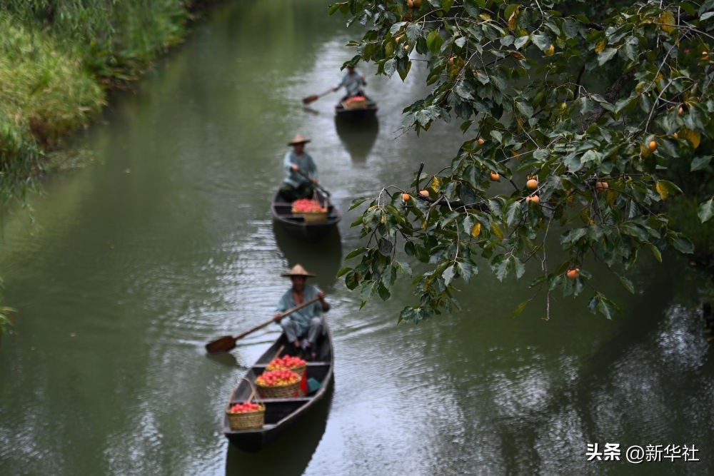 湿地之美惊艳了世界,湿地之美在什么地方