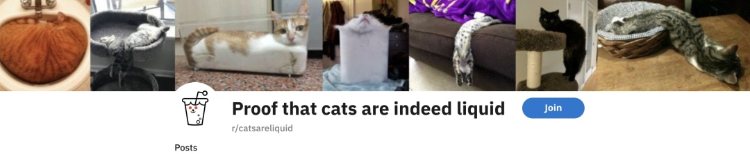 液体猫猫大合集！有毛巾嘛？我们家的小猫又流出来啦