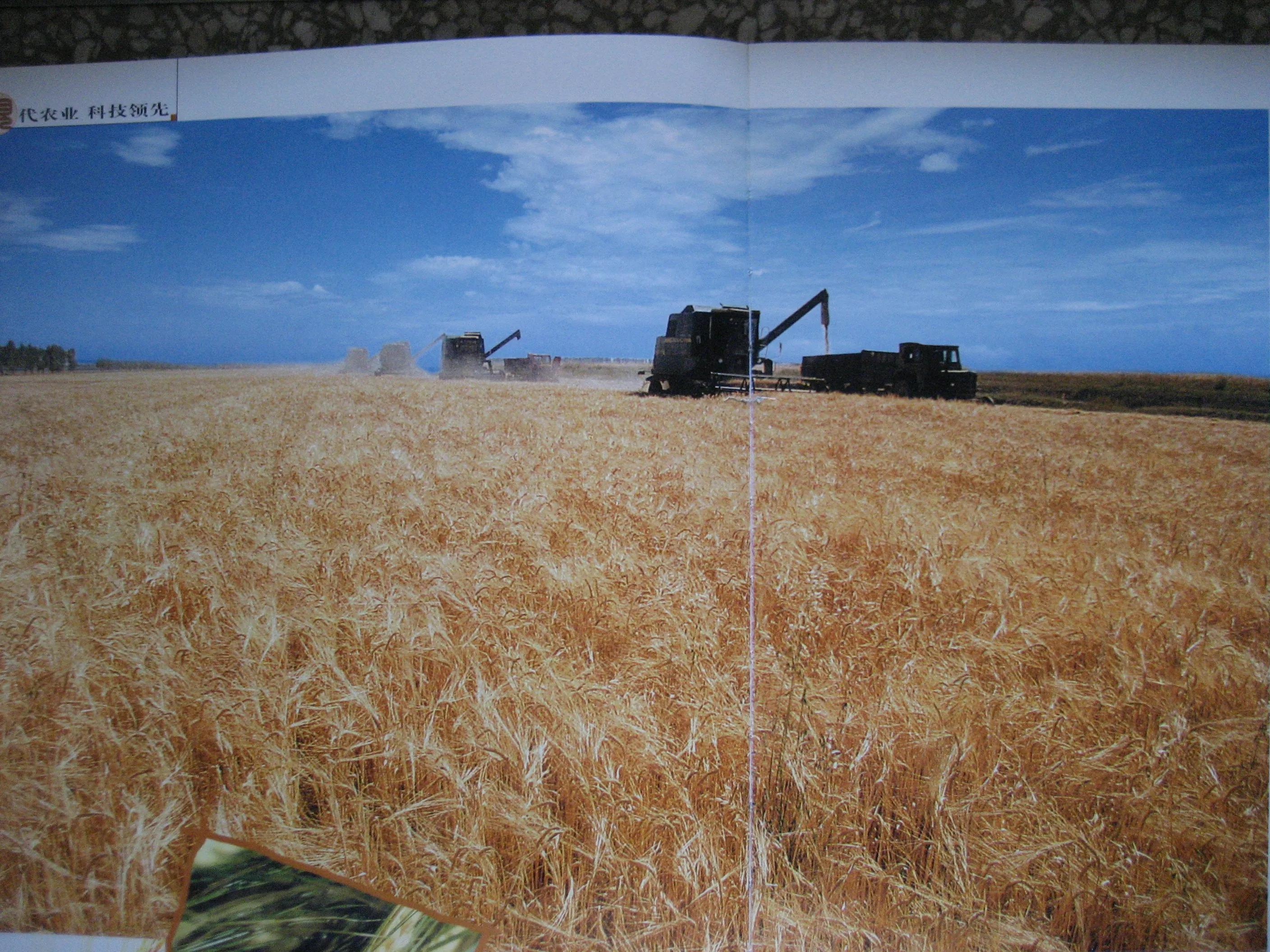 13年副营长,21营副营长