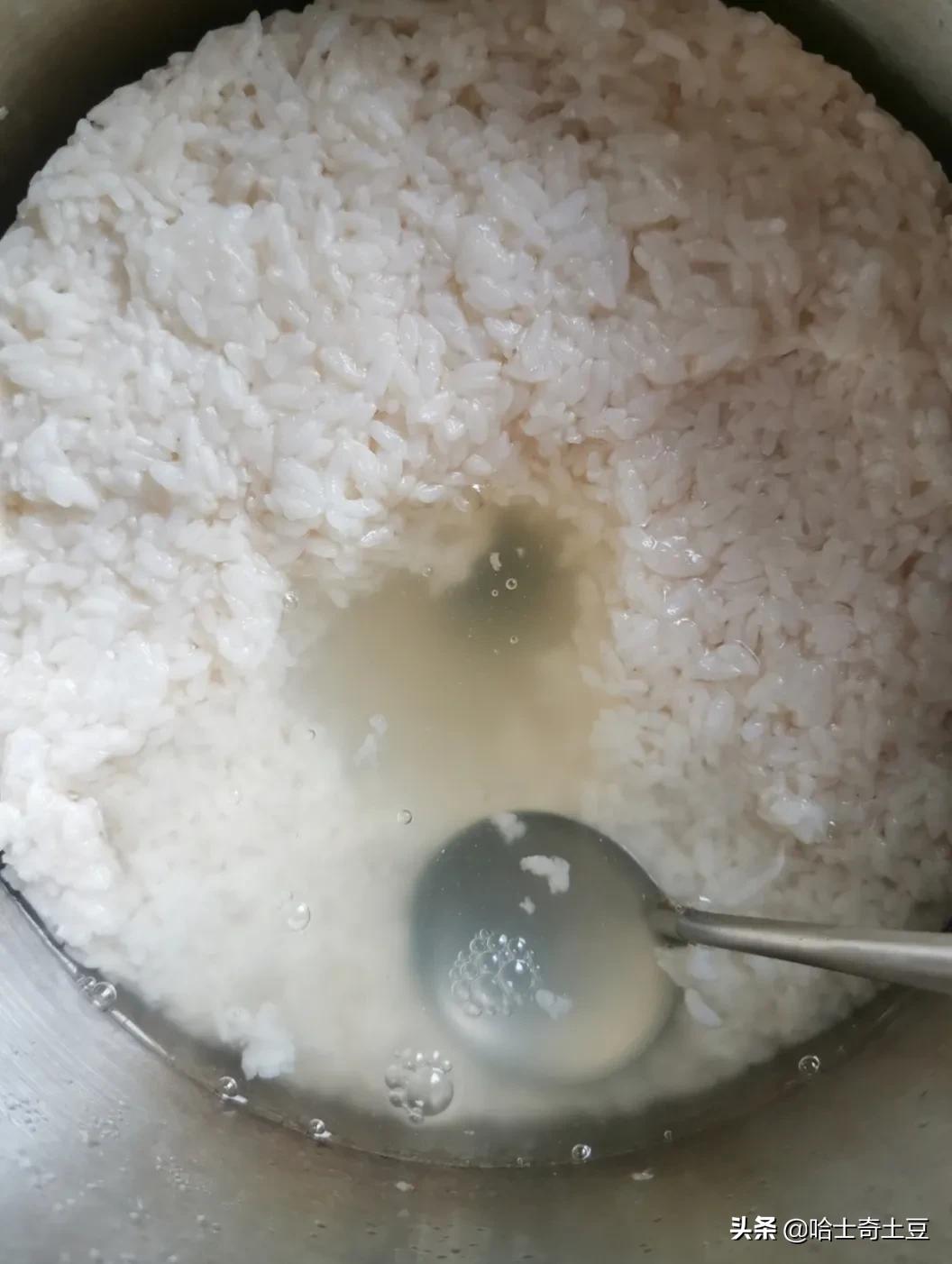 做酒酿500克糯米甜酒曲放多了,纯手工甜酒小丸子摆摊做法