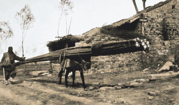 你不知道的历史上最惨烈的战争,你不知道的二战史