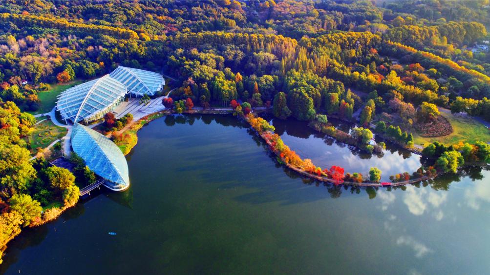 2021年参加首都义务植树活动,2021年冬季全民义务植树活动