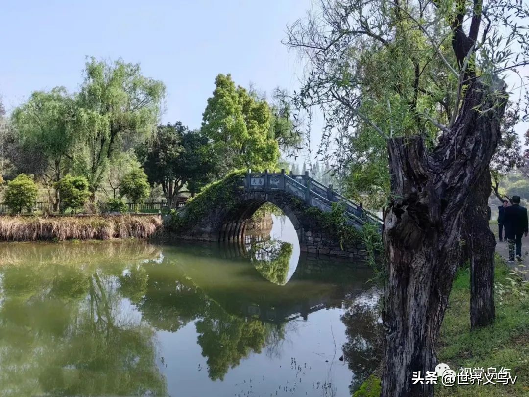 中华诗文丨乔亭采风：佩林散文／鲜为人知的“第一次抗日战争”