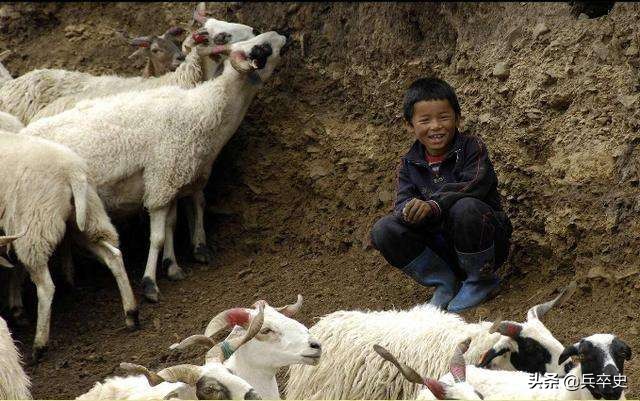 3岁男孩被狼咬掉半张脸,三岁男孩被狼咬掉半面脸