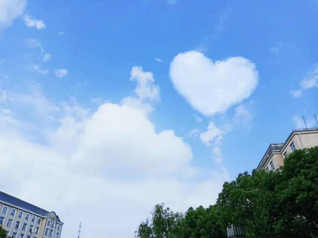 四季篇论述散文《夏》，喜欢的小伙伴点个关注，小编持续更新中