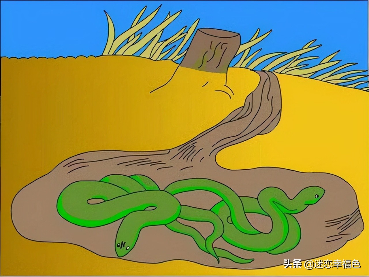 福建一工地挖出“冬眠”蟒蛇,一工地挖出“冬眠”蟒蛇