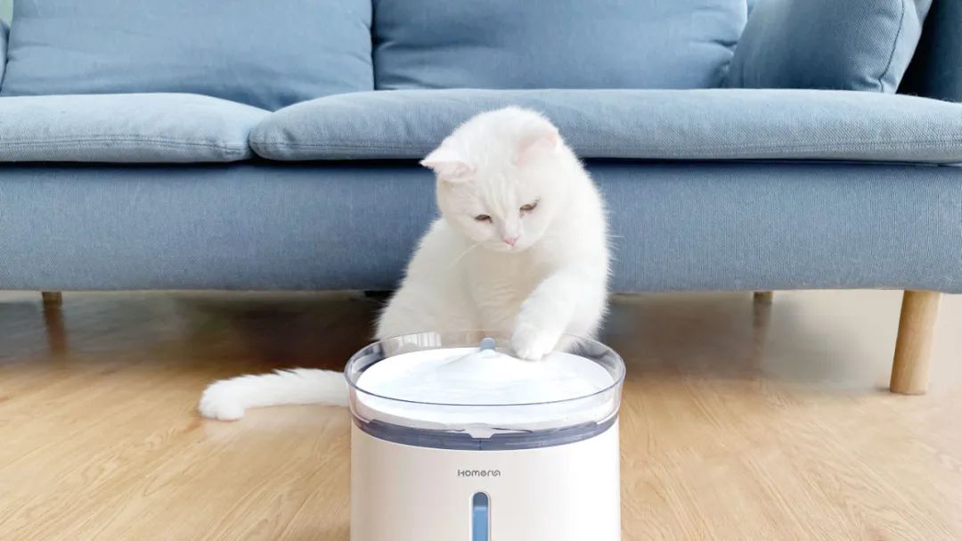 2022年iF设计奖：宠物用品类