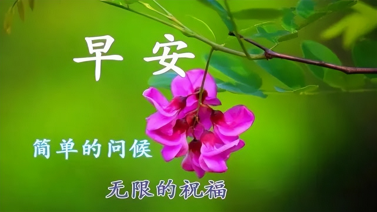 问候语祝福朋友的句子暖心,问候祝福朋友开心快乐的温馨句子