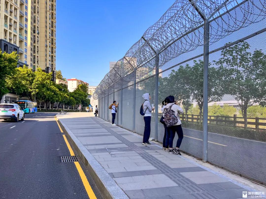 封关600天，他们在深港边境团聚，相隔97米