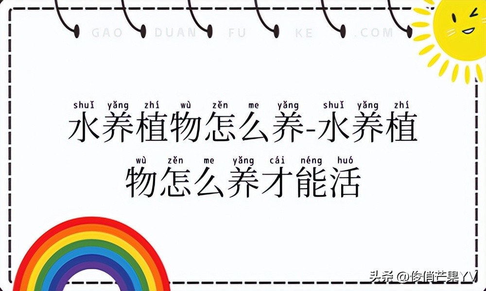 水培植物的养护技巧,适合养鱼的水培植物