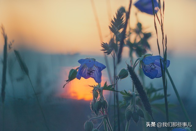 做梦梦到离世的人是什么征兆,梦见有人离世是什么征兆