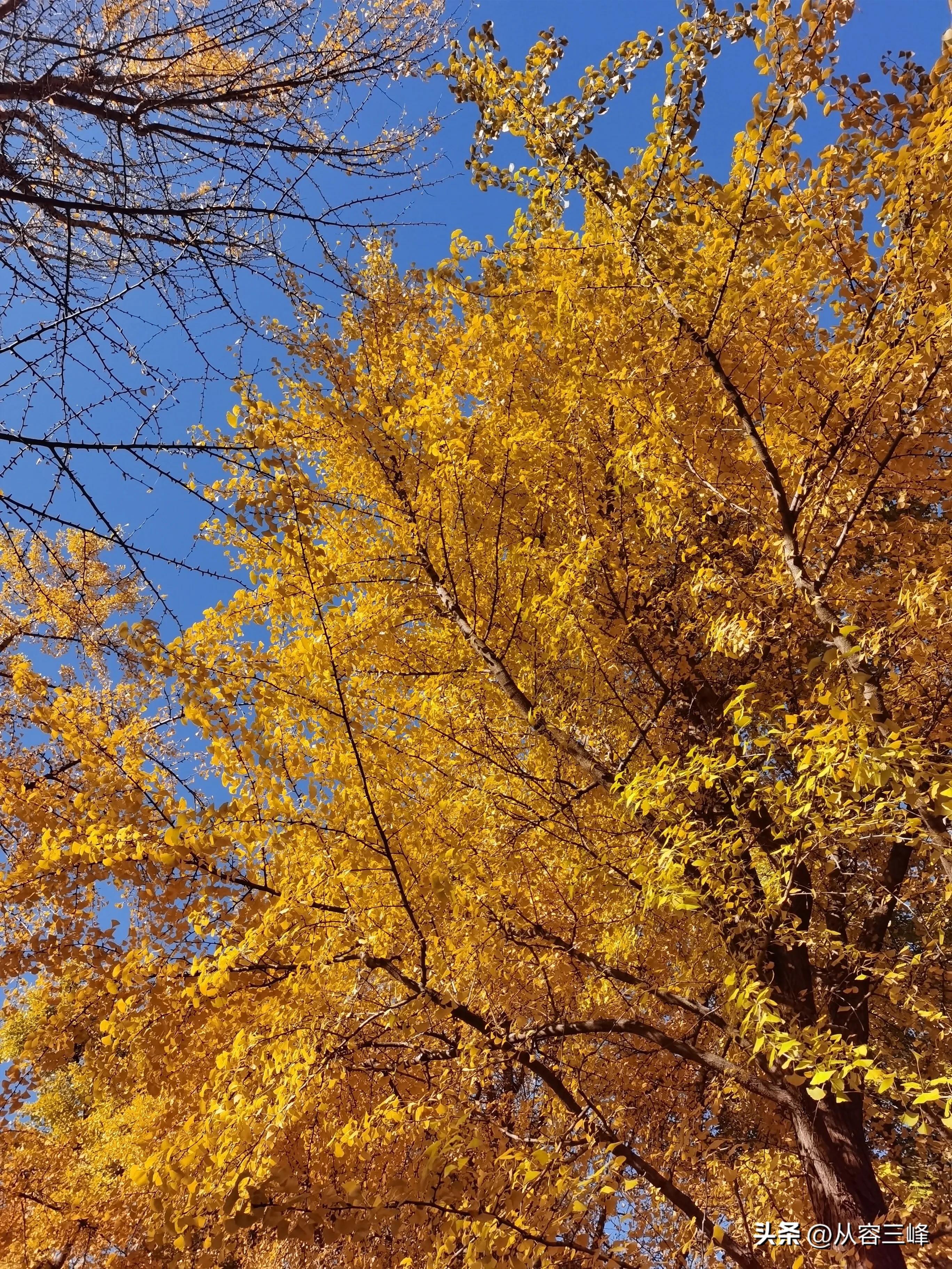 遇见好医生三生有幸,遇见一位好的中医大夫