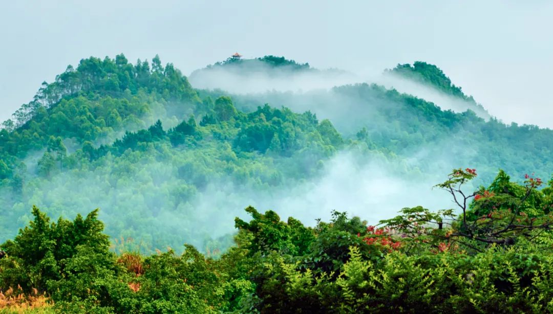 与春天撞个满怀美文,与春天撞个满怀