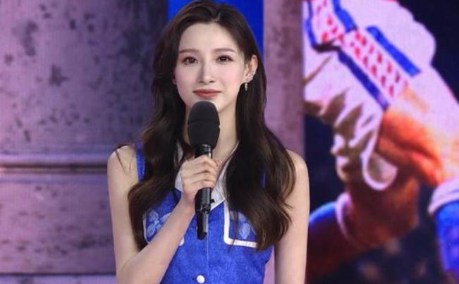 央视一姐李红现状,央视一姐长相不输董卿