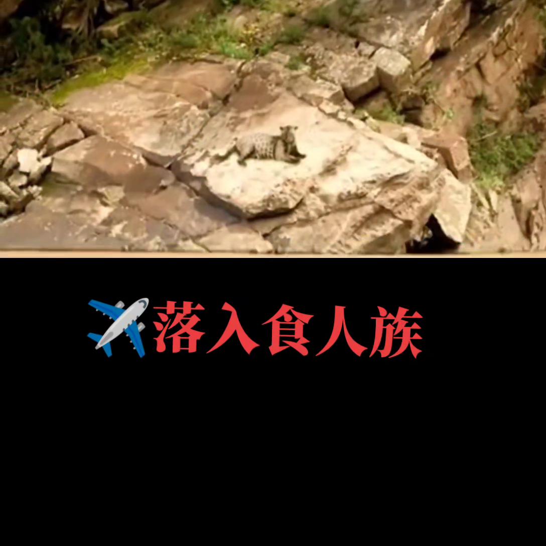 dou+小助手官方,dou+小助手流量包