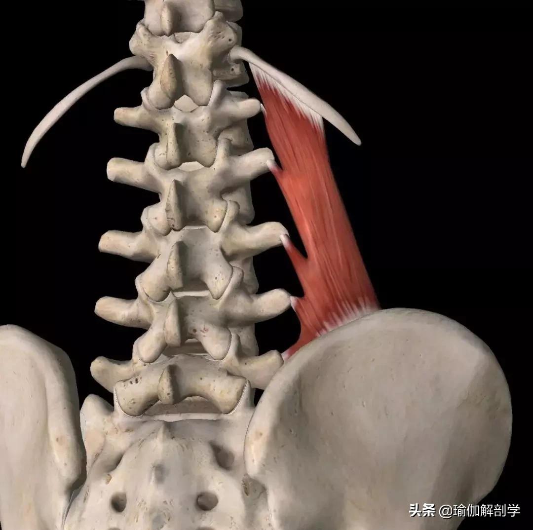 锻炼腰的拉伸动作,10个拉伸动作缓解腰背疼痛