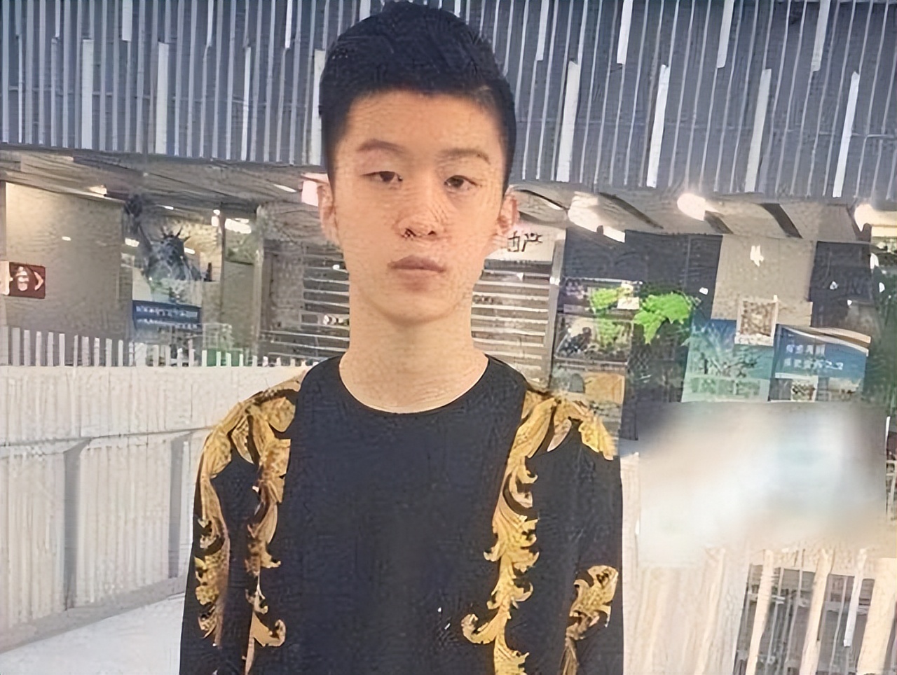 明星整容网红整容,明星整容失败后惨不忍睹的对比