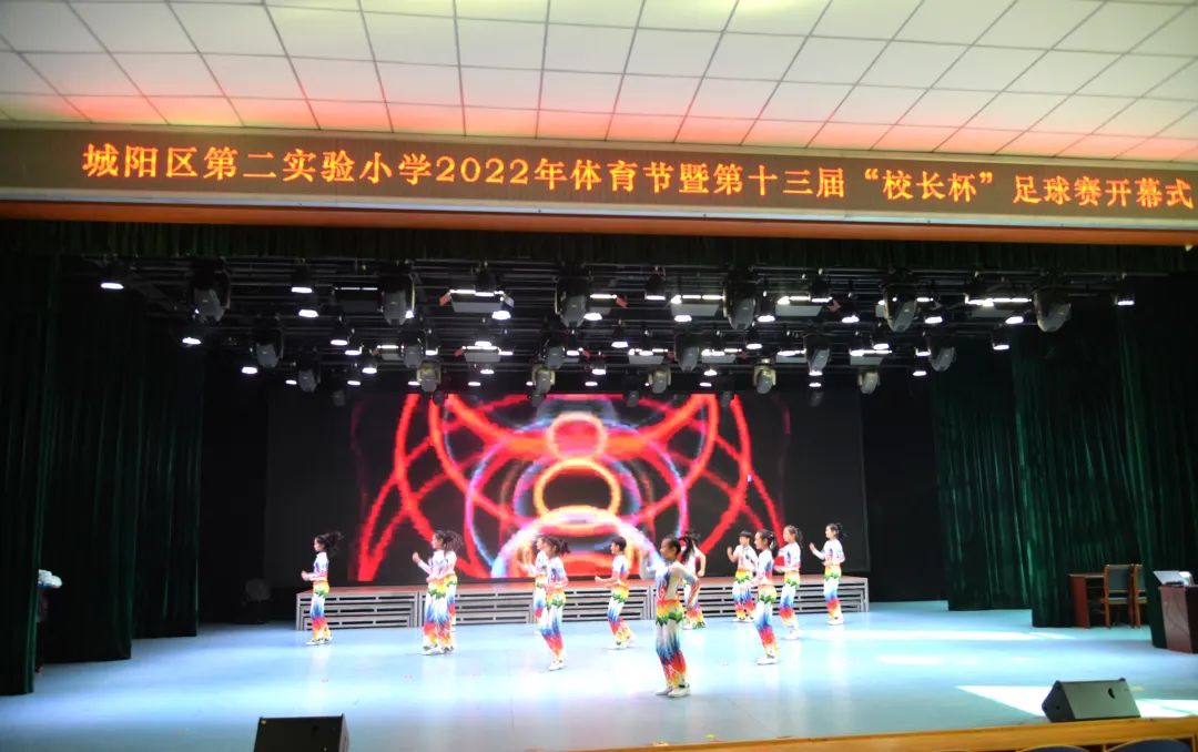 中国足球比赛校长杯,2024小学校长杯总决赛足球比赛