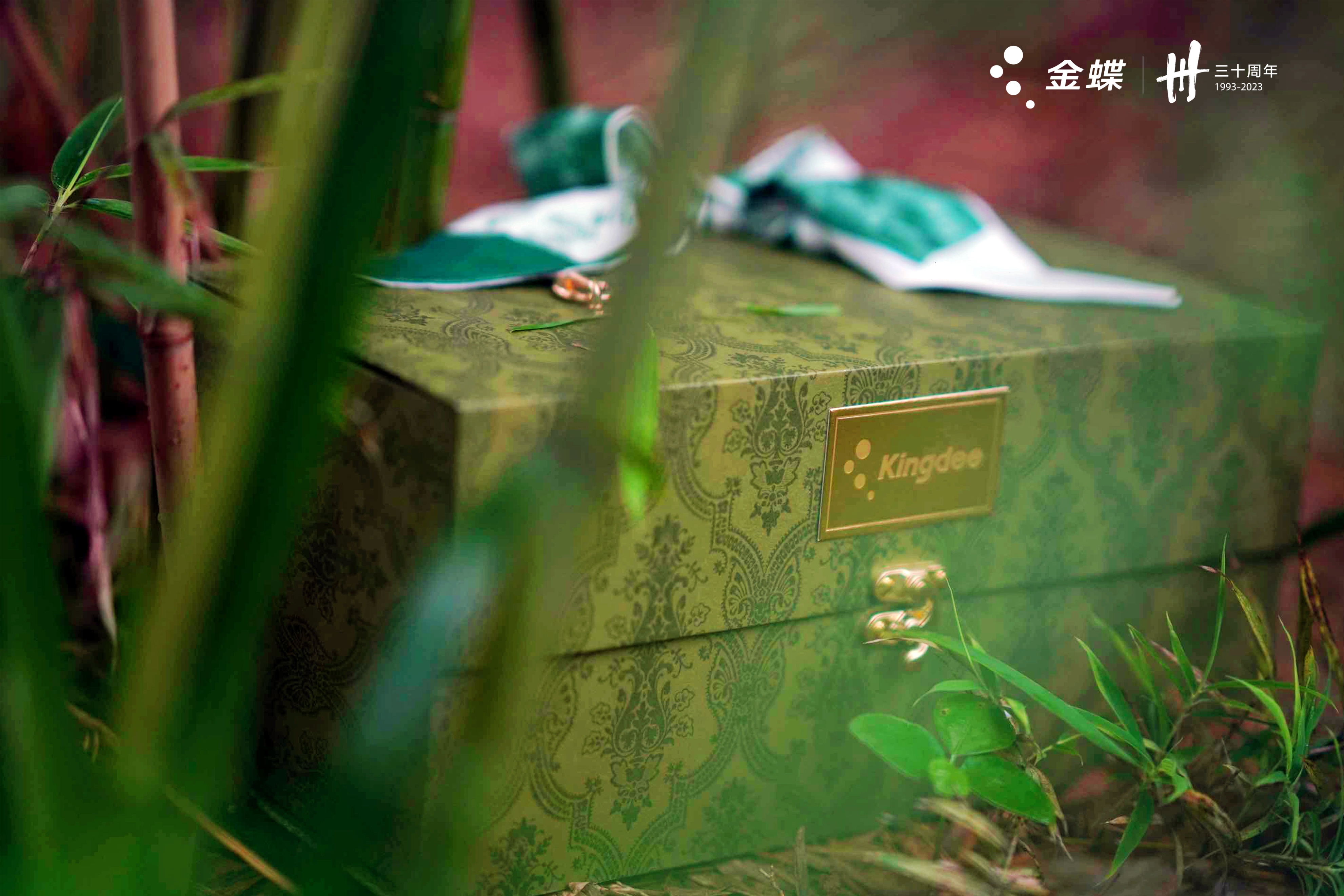 2021年互联网大厂端午礼盒大赏,端午礼盒互联网大厂