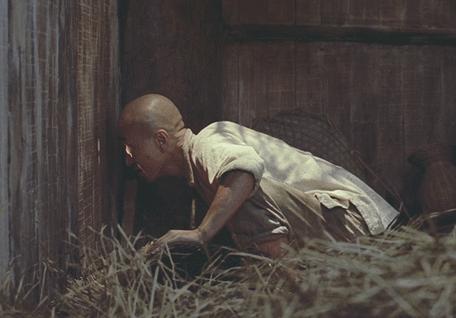 小时候没看懂现在的情况,小时候没看懂的一集视频