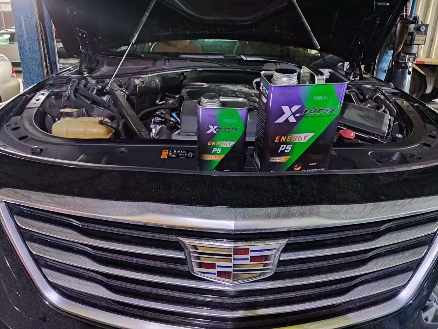 车辆一定要停树下怎么办,车是停在树下还是停在露天