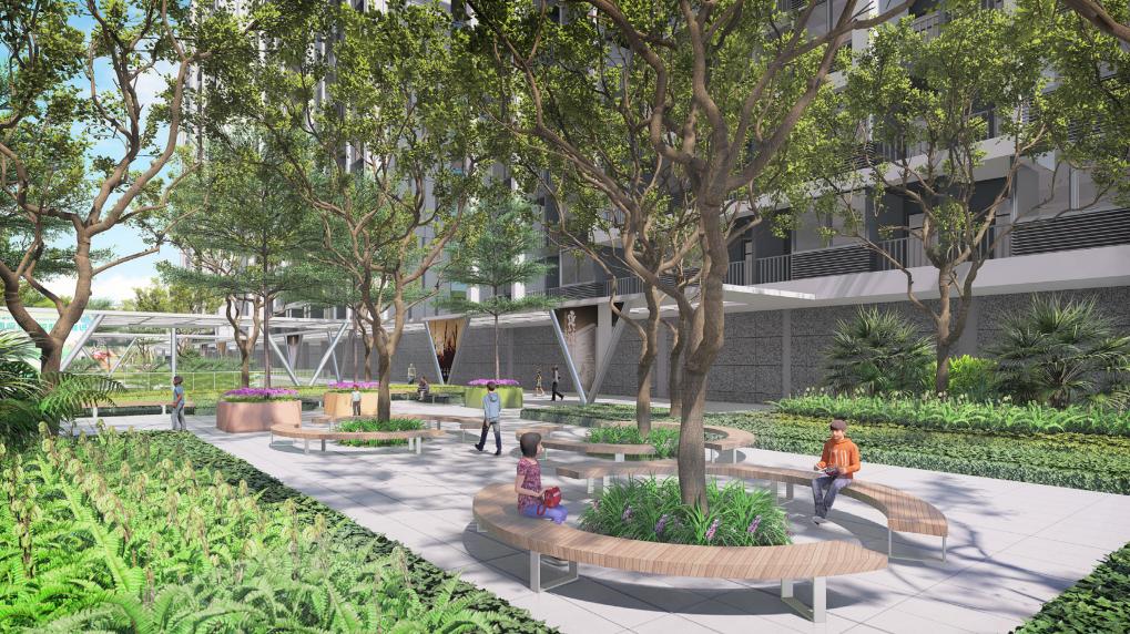 打造学生健康快乐成长的“林中学堂”，这所深圳高中做到了！