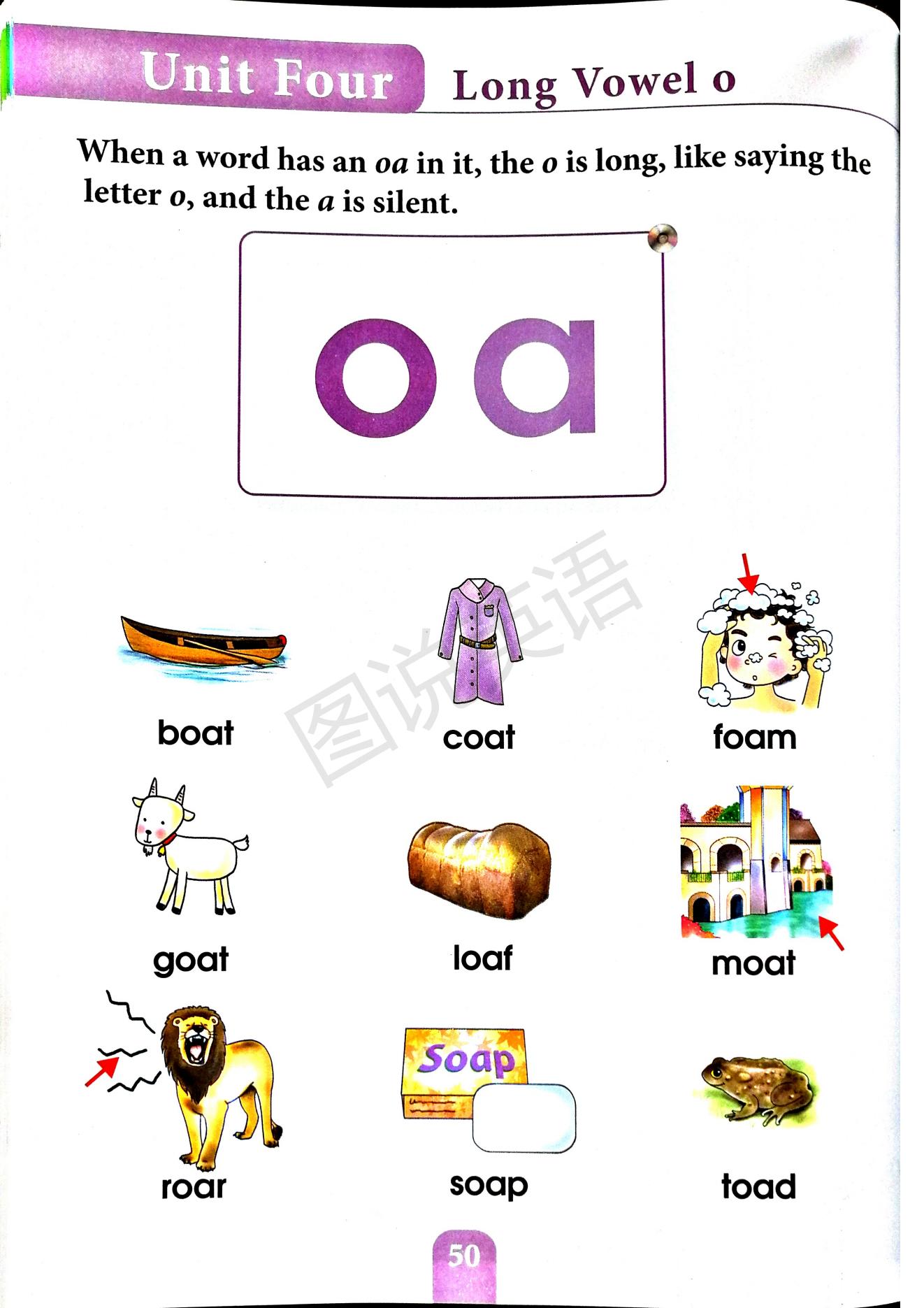 一口背,一口学会国际音标