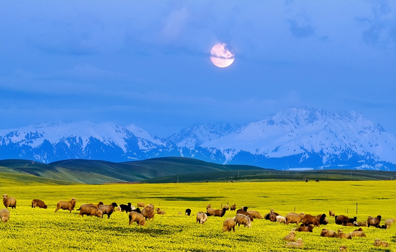 赞美天山的著名诗句,关于天山的诗句和优美词句