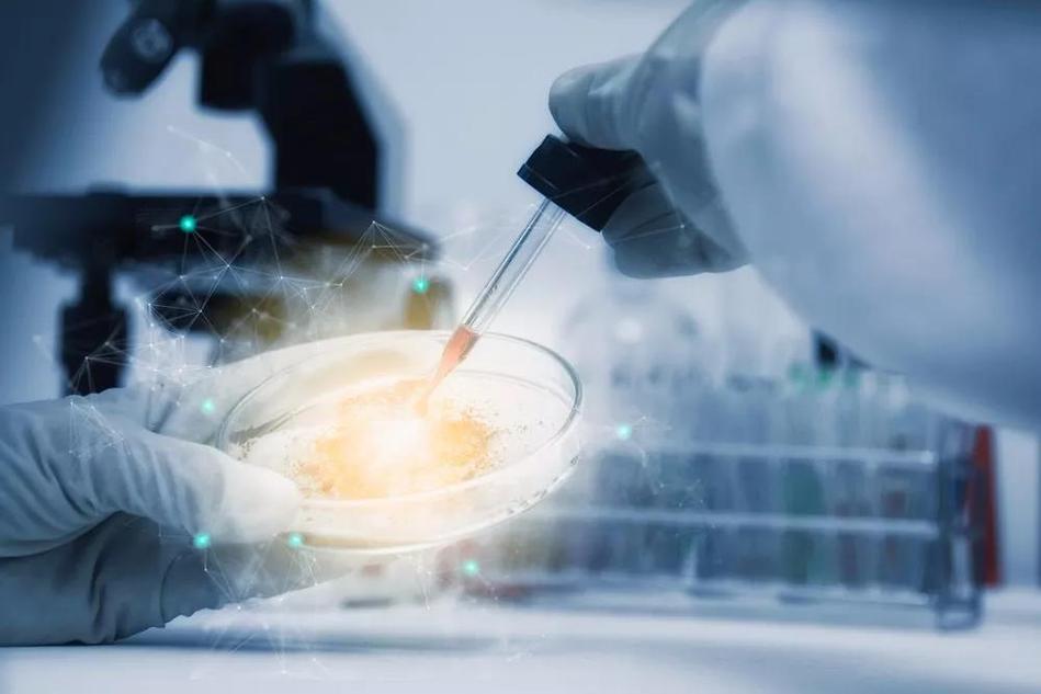 慢性心力衰竭的心功能分级,心力衰竭中医治疗方法