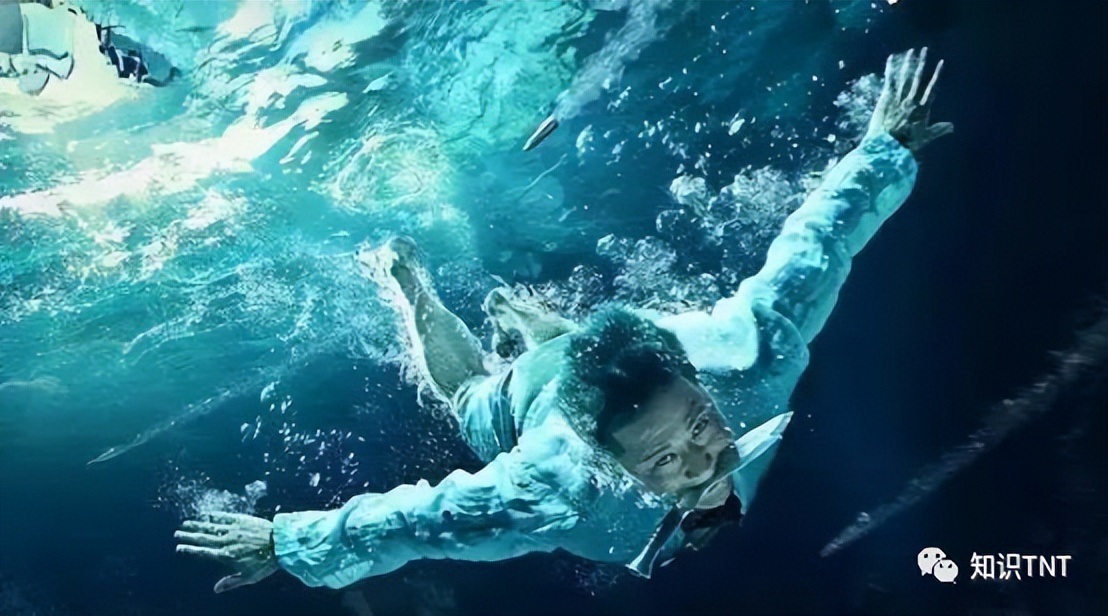 喘气一分钟，续航两小时，人类鲸鱼海龟，谁才是憋气冠军？