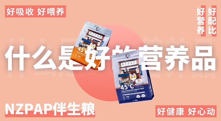 养狗的好处和养狗的坏处视频,如果你想养猫一定要清楚这4件事