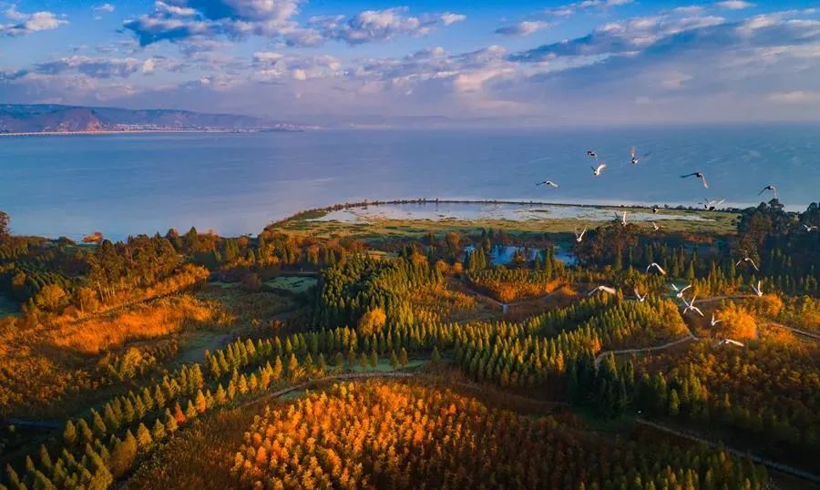 昆明七彩云南怎么样,七彩云南避暑家园